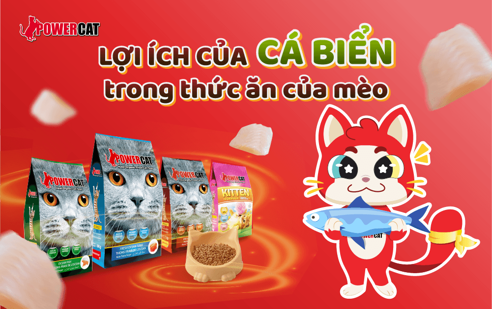 hat-thuc-an-cho-meo-powercat-vi-ca-bien