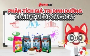 Phân tích giá trị dinh dưỡng của hạt mèo Powercat